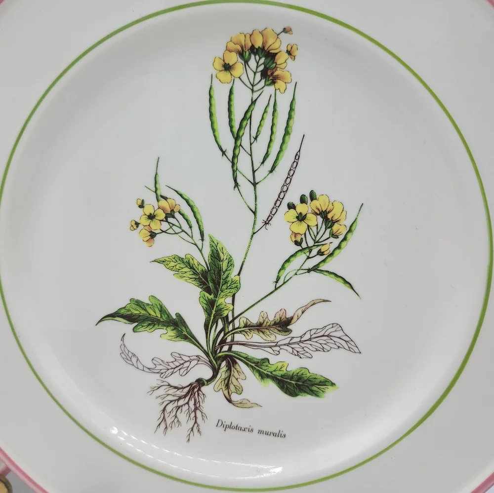 La Primula Italy Hand Decorated Botanical Plates Set of 2 Pink Rim Flowers Vtg